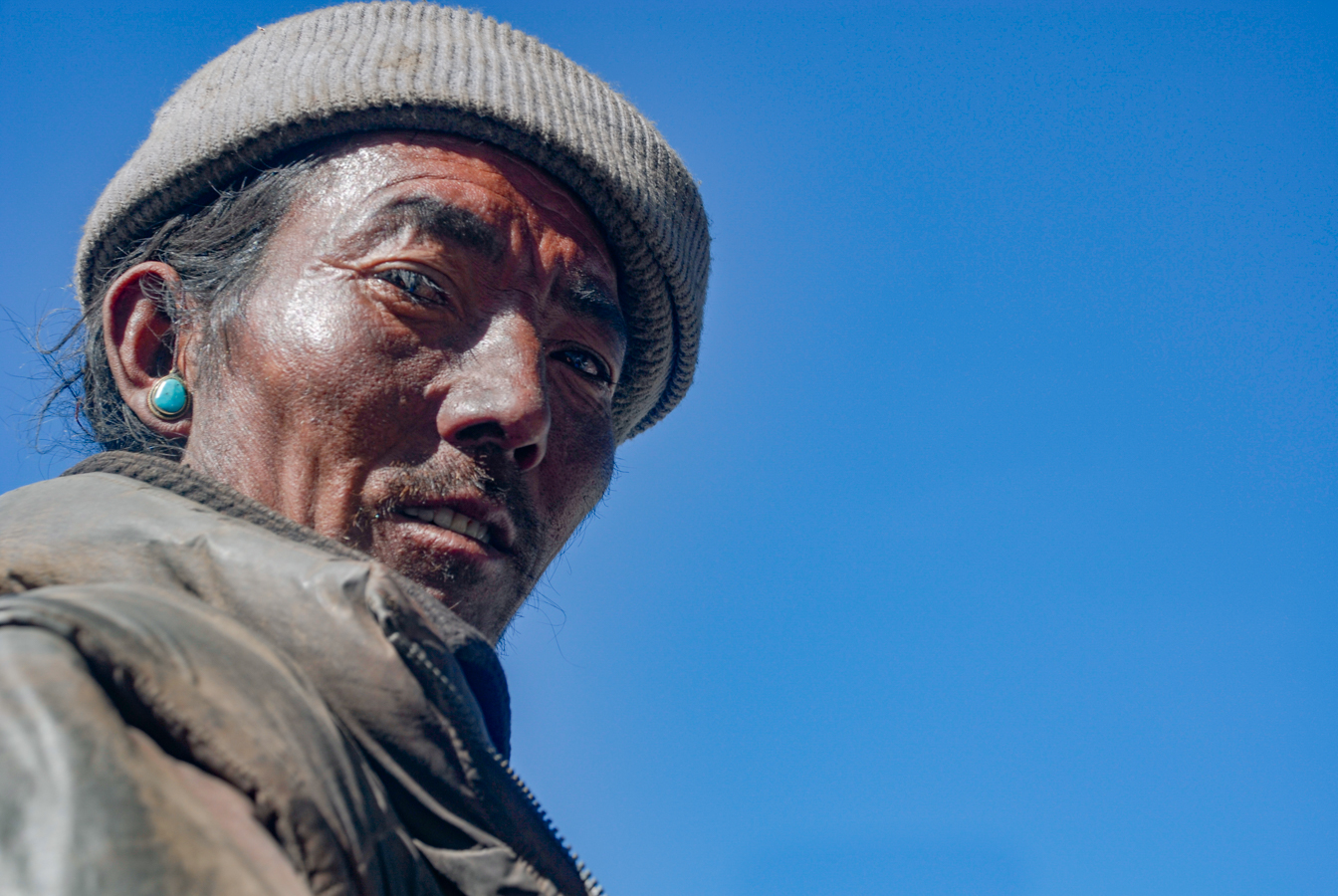 Tibetan Yak Herder